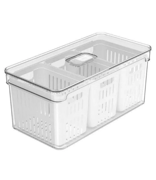 223 OU ORGANIZADOR CLEAR FRESH 5L C