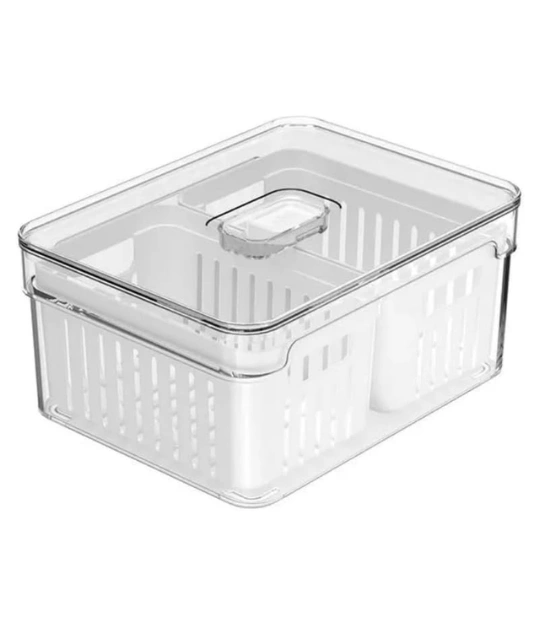 226 OU ORGANIZADOR CLEAR FRESH 2,2L