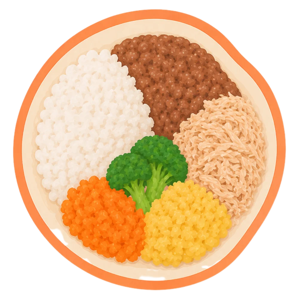 Ilustração de um prato com diferentes grupos de alimentos